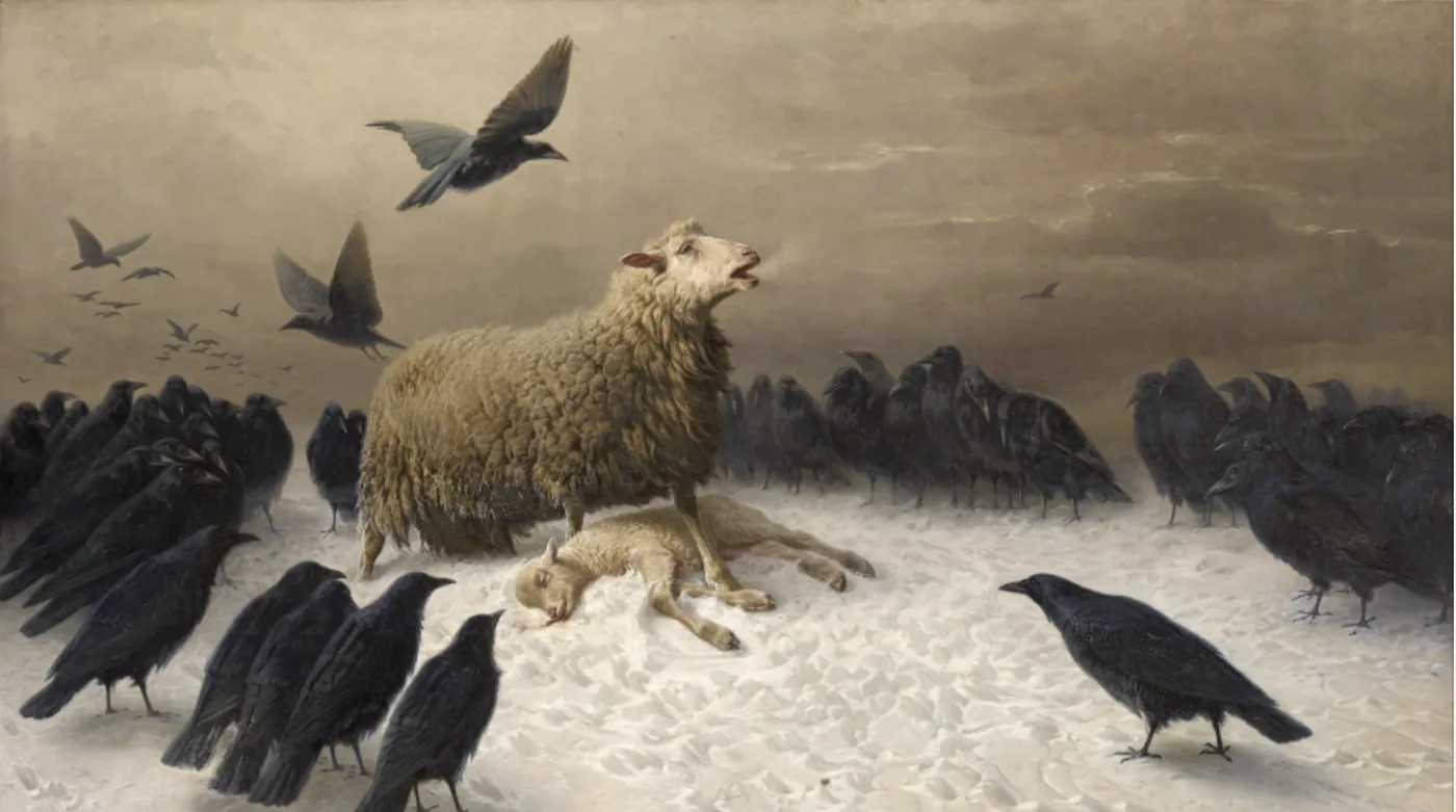 Anguish — a ewe standing over her lamb in the snow, ringed by crows.